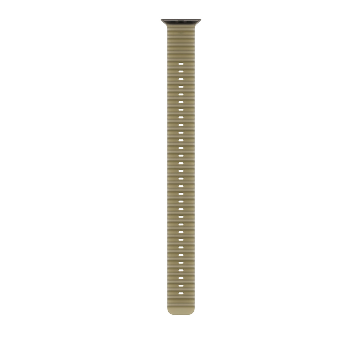 Extensión para correa Ocean color alga marina traslúcido (49 mm) - Titanio negro Apple