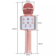 Hopecom WS-858 Wireless Karaoke Microphone Speaker - Portable Handheld Bluetooth Mic with Echo & Voice Changer - Eurotec